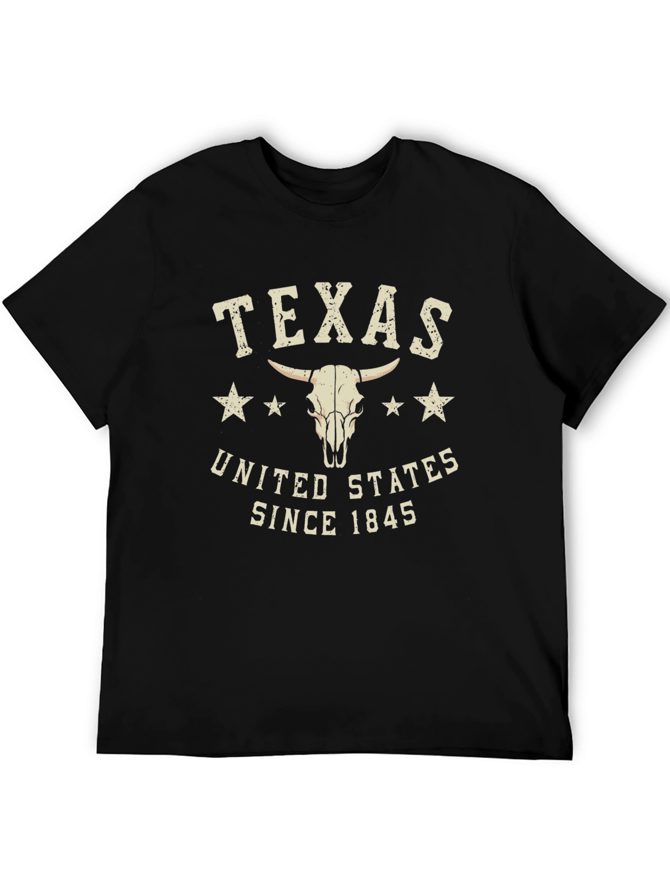 Texas United States Graphic T-Shirt